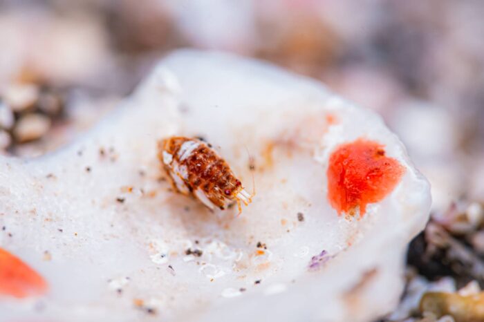 line_oa_chat_250512_194916