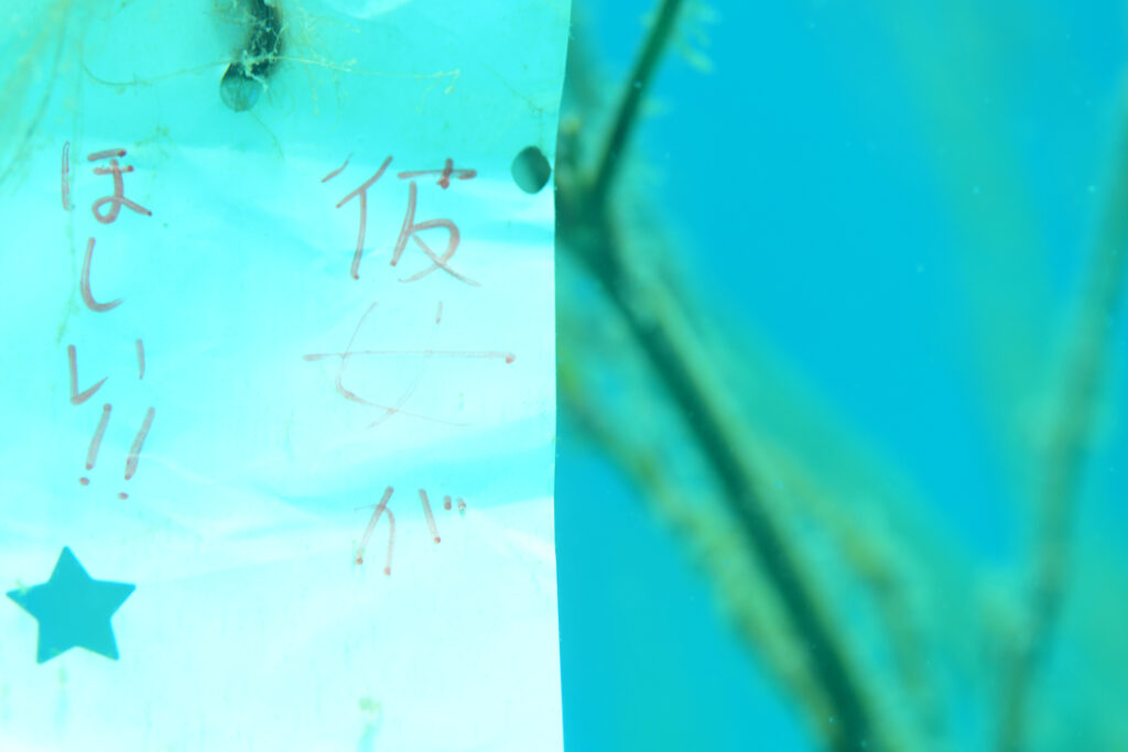 7-13 富戸-25