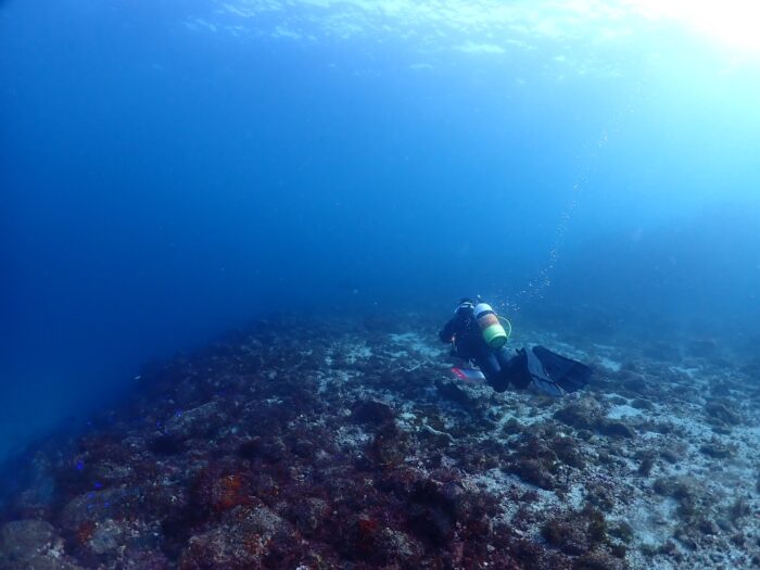 line_oa_chat_251210_192807