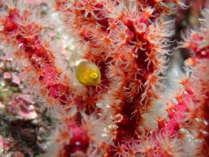 line_oa_chat_251210_192817