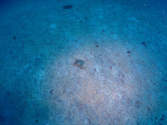 line_oa_chat_251210_192847