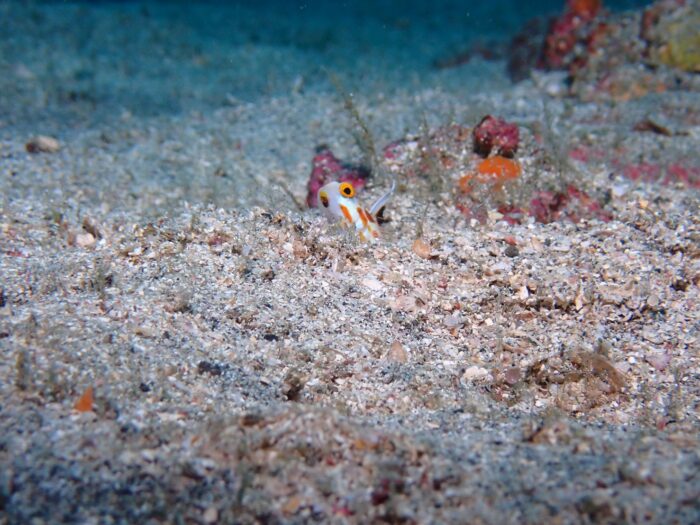 line_oa_chat_251210_192852