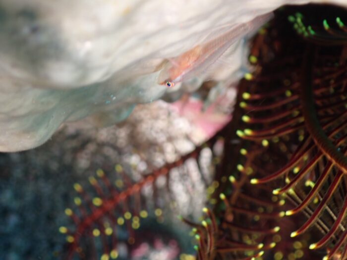 line_oa_chat_251210_192855