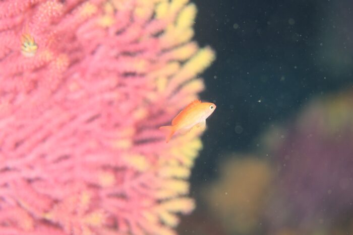 line_oa_chat_251214_174102