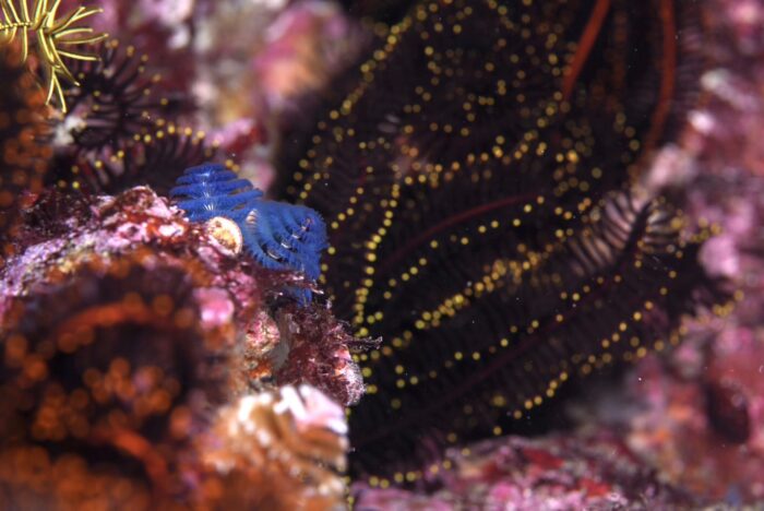 line_oa_chat_251214_210446