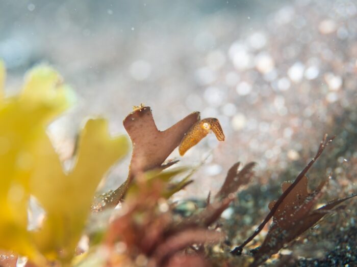 line_oa_chat_260129_080116