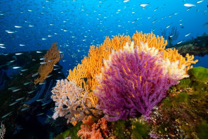 line_oa_chat_260202_173044