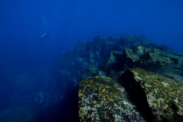 line_oa_chat_260202_173047