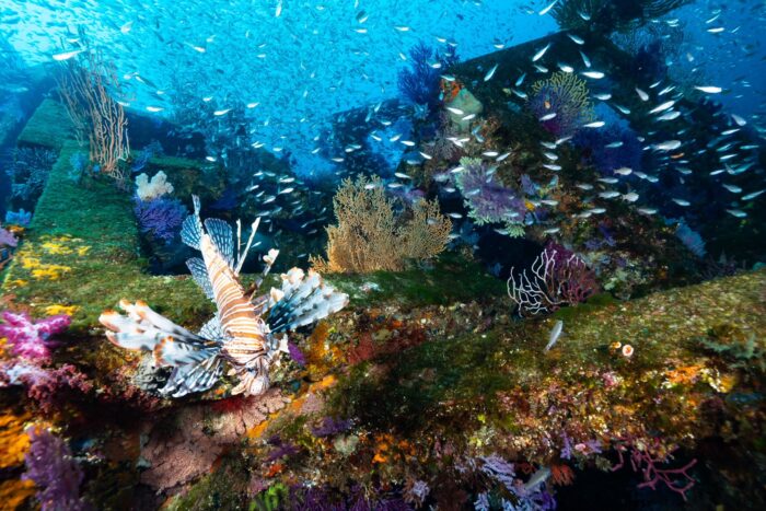 line_oa_chat_260202_173049