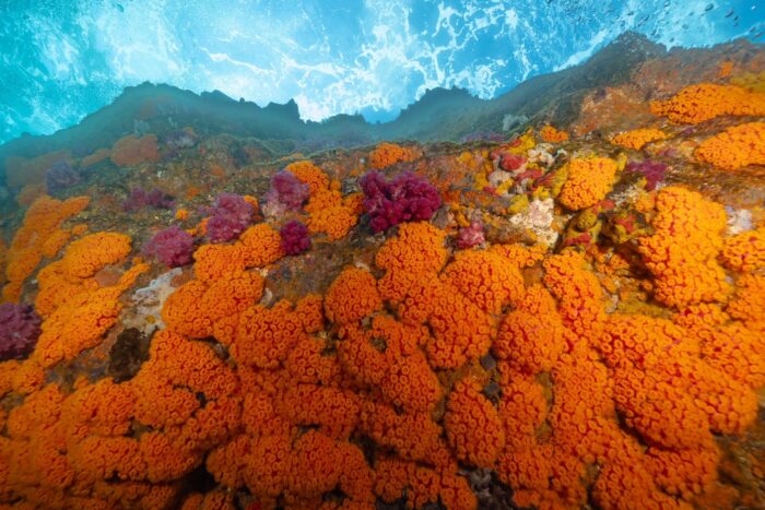 line_oa_chat_260202_173050