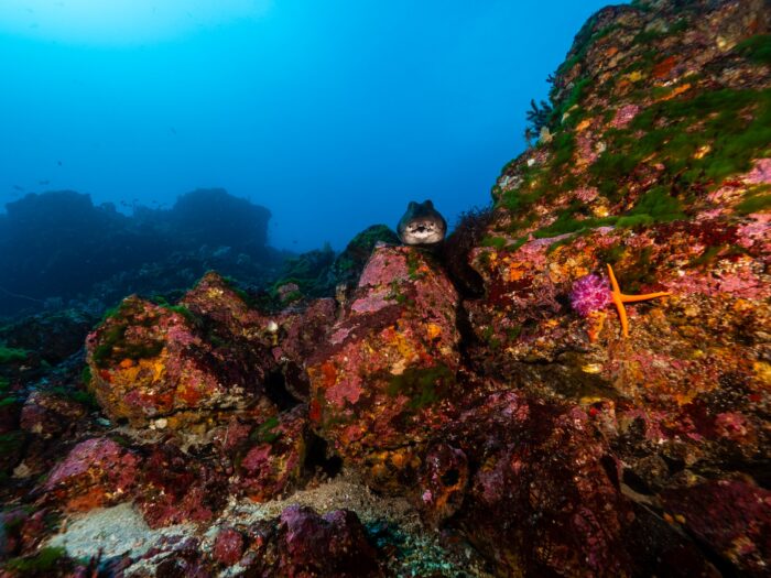 line_oa_chat_260203_181244