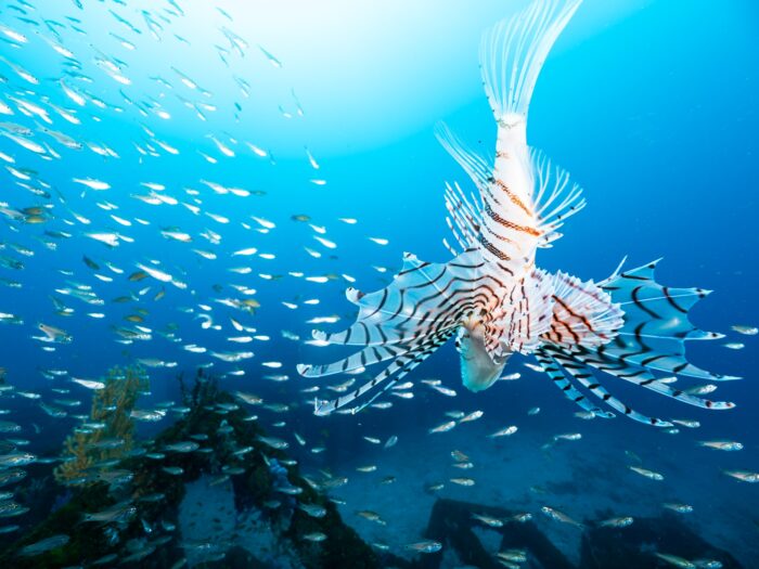 line_oa_chat_260203_181248