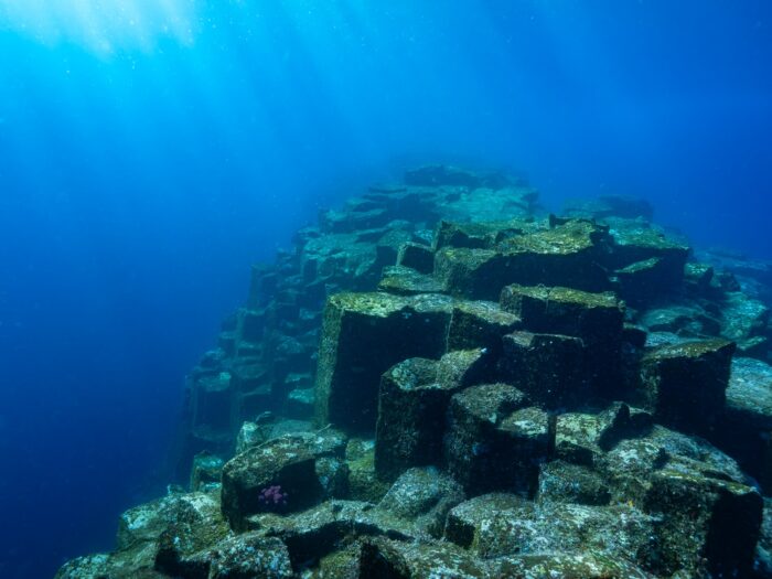 line_oa_chat_260203_181250