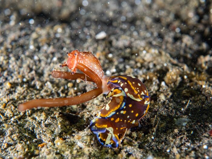 line_oa_chat_260405_153725