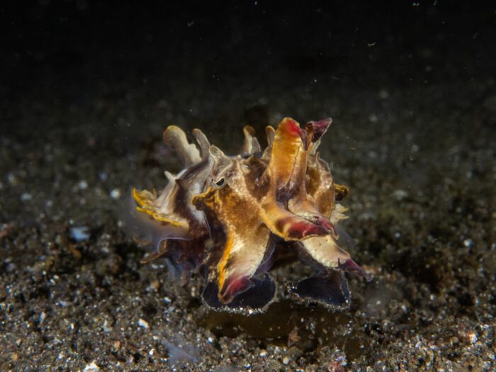 line_oa_chat_260405_204258