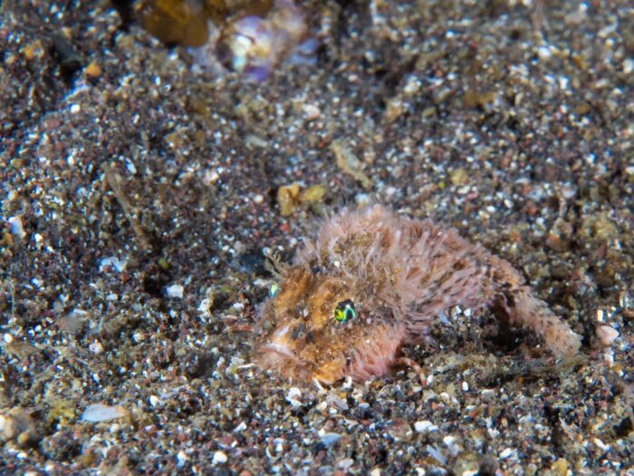 line_oa_chat_260405_204304