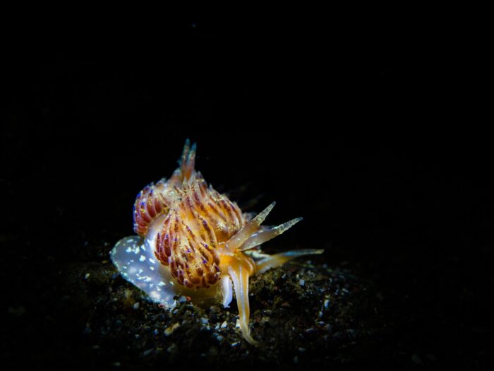 line_oa_chat_260405_204310