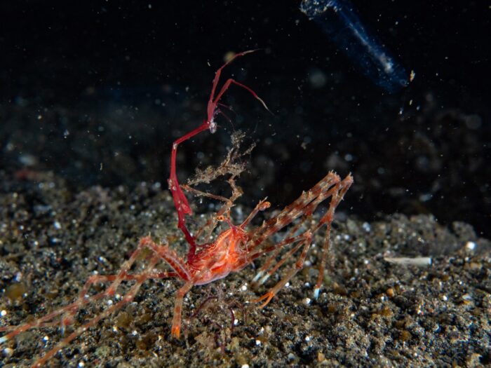 line_oa_chat_260405_204317