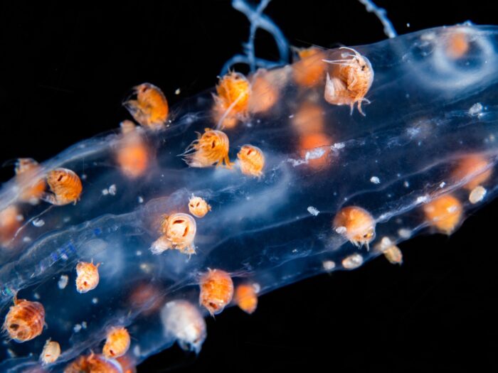 line_oa_chat_260405_204321