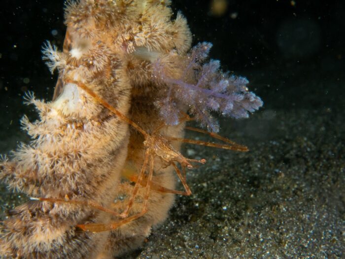 line_oa_chat_260405_204327