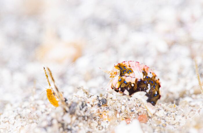 line_oa_chat_260413_211443