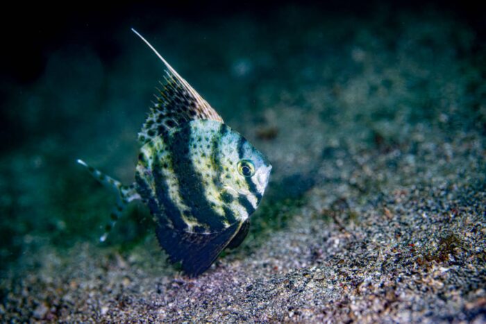 line_oa_chat_260413_211452