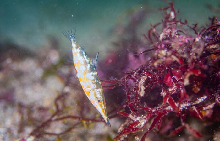 line_oa_chat_260413_211501