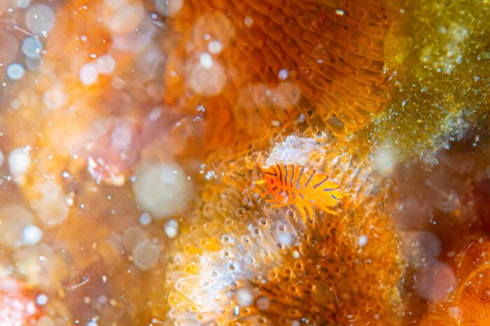 line_oa_chat_260413_211505