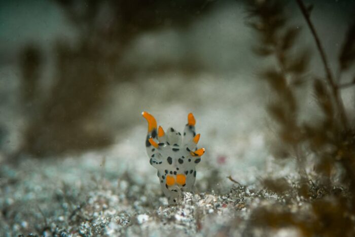 line_oa_chat_260414_171058