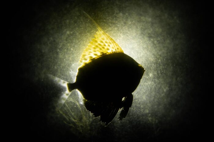 line_oa_chat_260414_171102