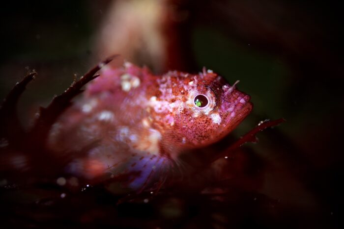 line_oa_chat_260414_171119