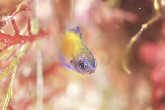 line_oa_chat_260414_171126