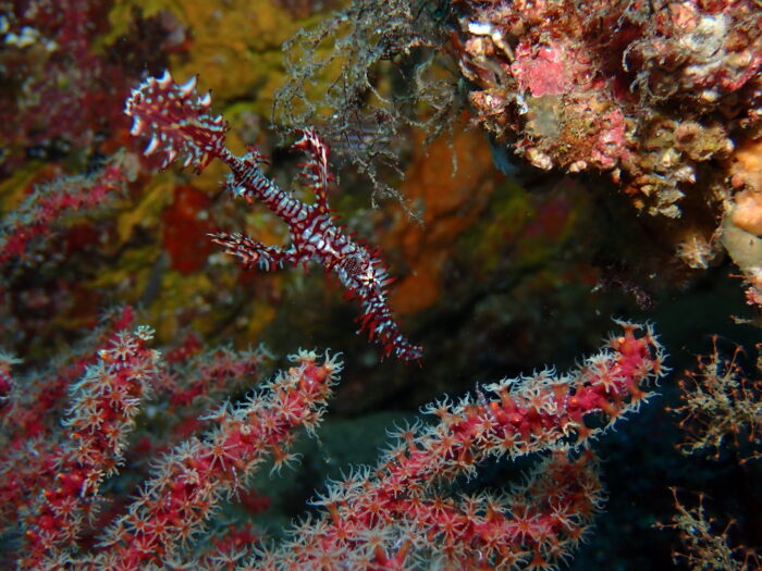 PA040096